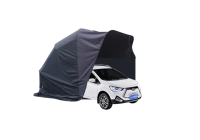 Jac Motors IEV 20