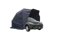 Peugeot 207 SW